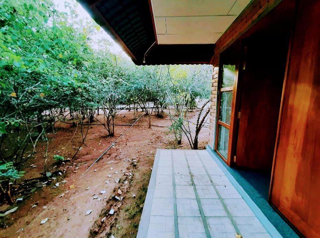 Elephant Arcade ทิซซามาฮารามา ภายนอก รูปภาพ